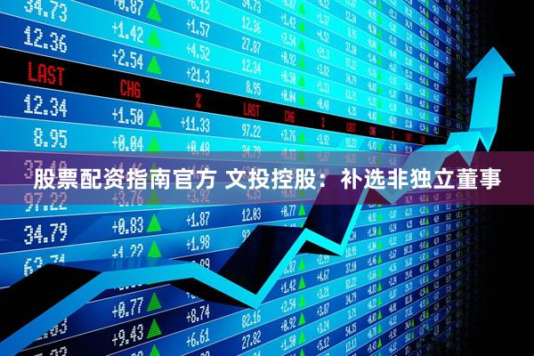 股票配资指南官方 文投控股：补选非独立董事