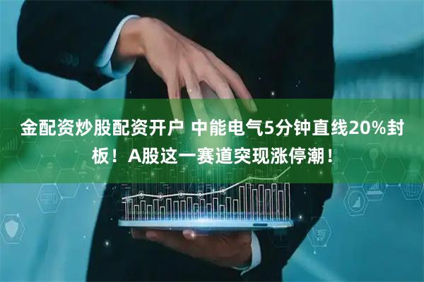 金配资炒股配资开户 中能电气5分钟直线20%封板！A股这一赛道突现涨停潮！