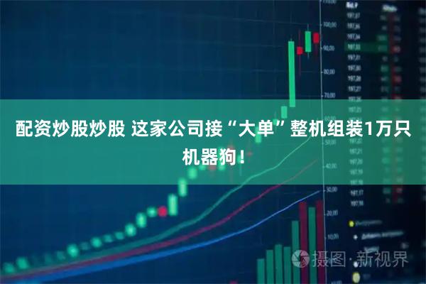 配资炒股炒股 这家公司接“大单”整机组装1万只机器狗！
