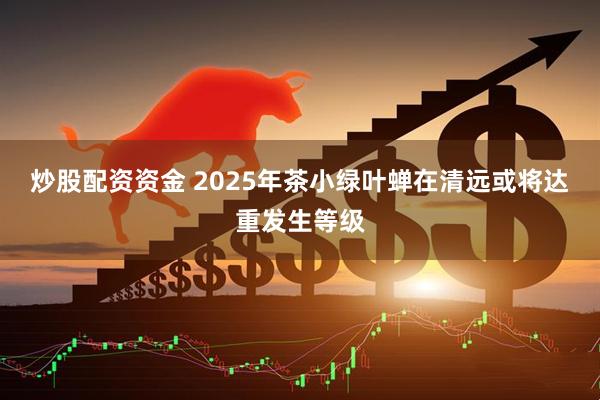 炒股配资资金 2025年茶小绿叶蝉在清远或将达重发生等级